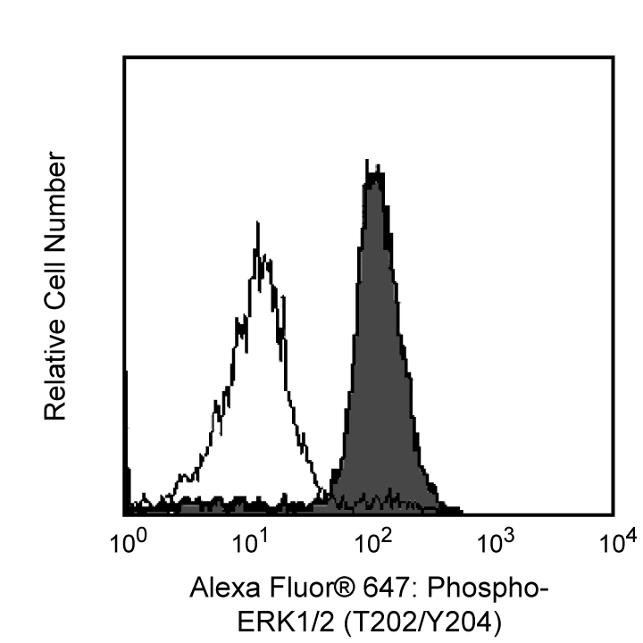 E23916_612593_image1.png